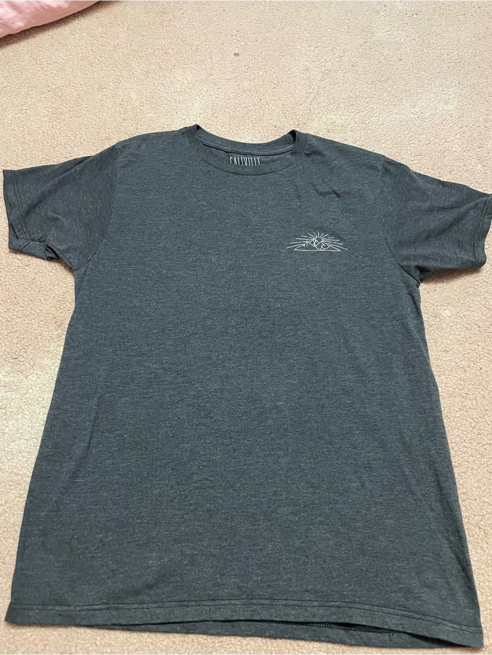 Caliville Men's Charcoal Graphic Crewneck T-Shirt ( size: M)